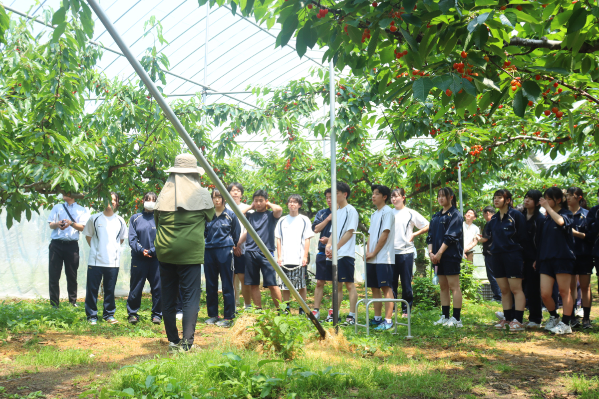 盛岡ターミナルビル株式会社